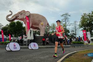 BIB: 
                            <button type="button" onclick="openModal(26528923)" class="btn btn-primary btn-sm float-right btn-popup" data-toggle="modal" data-target=".modal-high-quality">
                        <i class="fas fa-shopping-cart"></i> Add to Cart
                    </button>
                                            <button type="button" onclick="isThisMe(26528923, true)" class="btn btn-success btn-sm float-right btn-popup btn-isme hidden" data-toggle="tooltip" data-placement="bottom" title="นี่คือรูปของคุณใช่ไหม คลิกที่นี่เพื่อเอาเข้าอัลบั้ม">
                        <i class="fas fa-plus"></i> Add to album
                    </button>
                    <button type="button" onclick="isThisMe(26528923, false)" class="btn btn-warning btn-sm float-right btn-popup btn-isnotme hidden">
                        <i class="fas fa-ban"></i> Remove from album
                    </button>